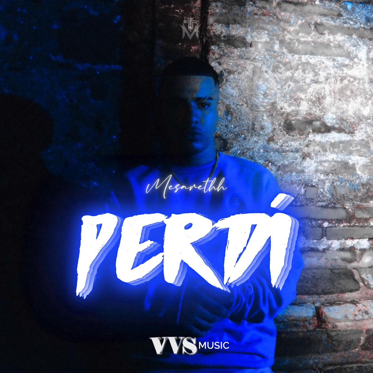 Perdí (feat. La Puta Connect, Crissy & VVS Music) - Single by Mesarethh album cover