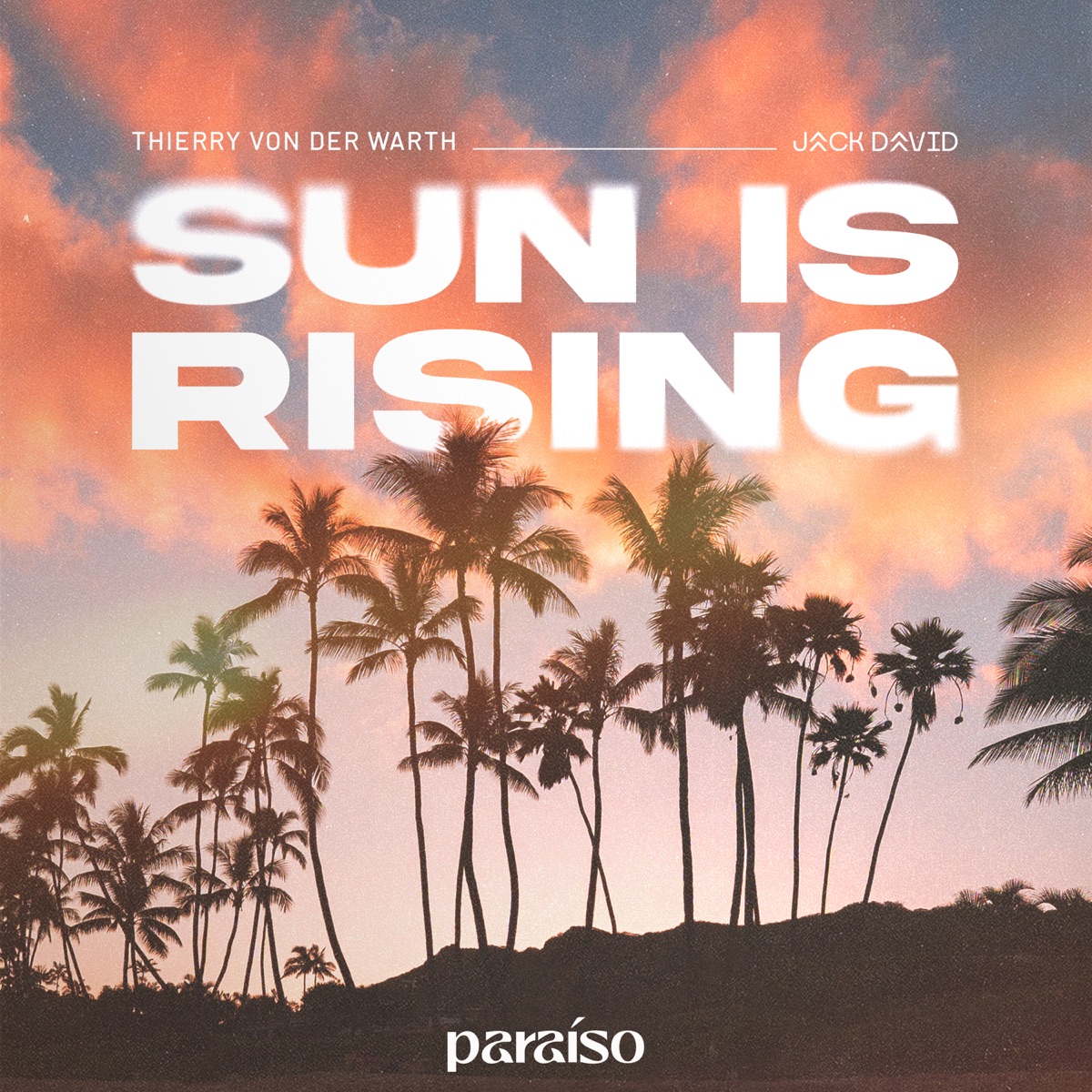 Sun Is Rising - Single by THIERRY VON DER WARTH & Jack David album cover