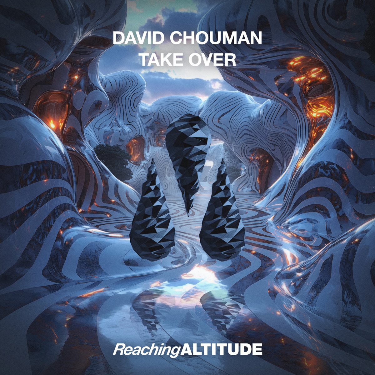 Take Over - Single by David Chouman album cover