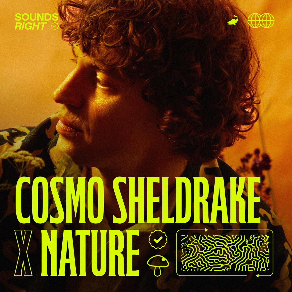 Soil (feat. NATURE) - Single by Cosmo Sheldrake & NATURE album cover