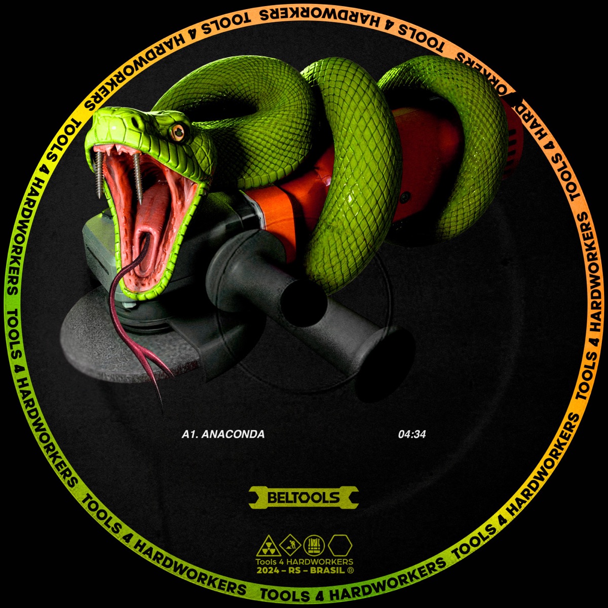 Anaconda - Single by Beltran album cover