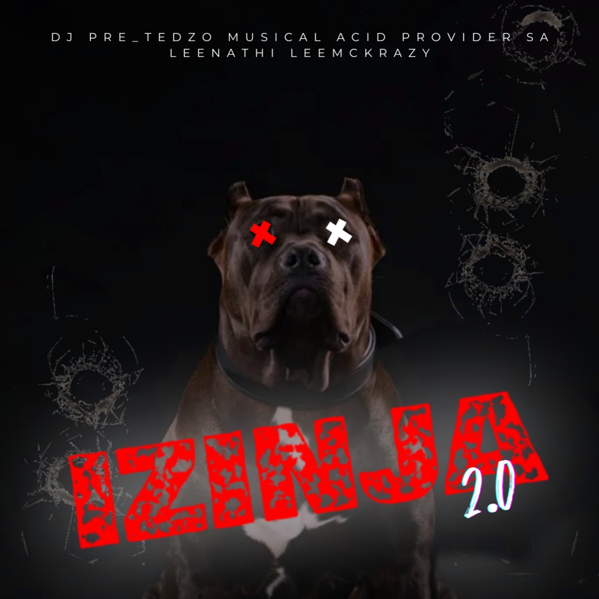 Izinja 2.0 (feat. Provider SA & Lee-Nathi) - Single by Musical Acid, Dj Pre_Tedzo & Leemckrazy album cover