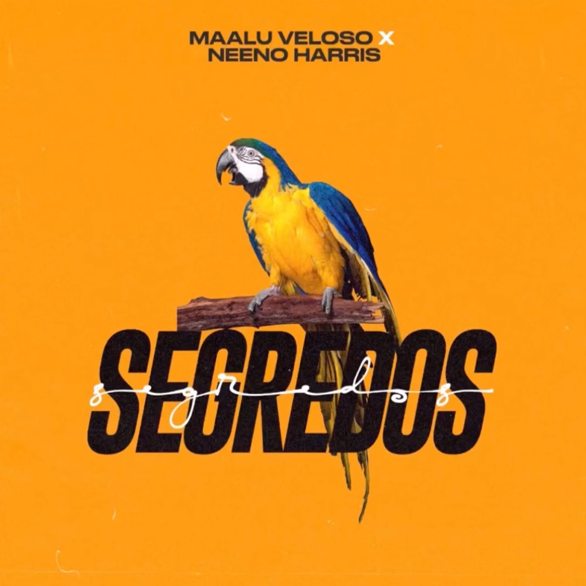 Segredos - Single by Maalu Veloso & Neeno Harris album cover