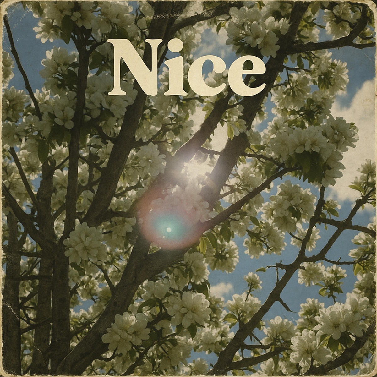 Nice (feat. Steven Lamar Moore) - Single by Danil Bryukhanov album cover