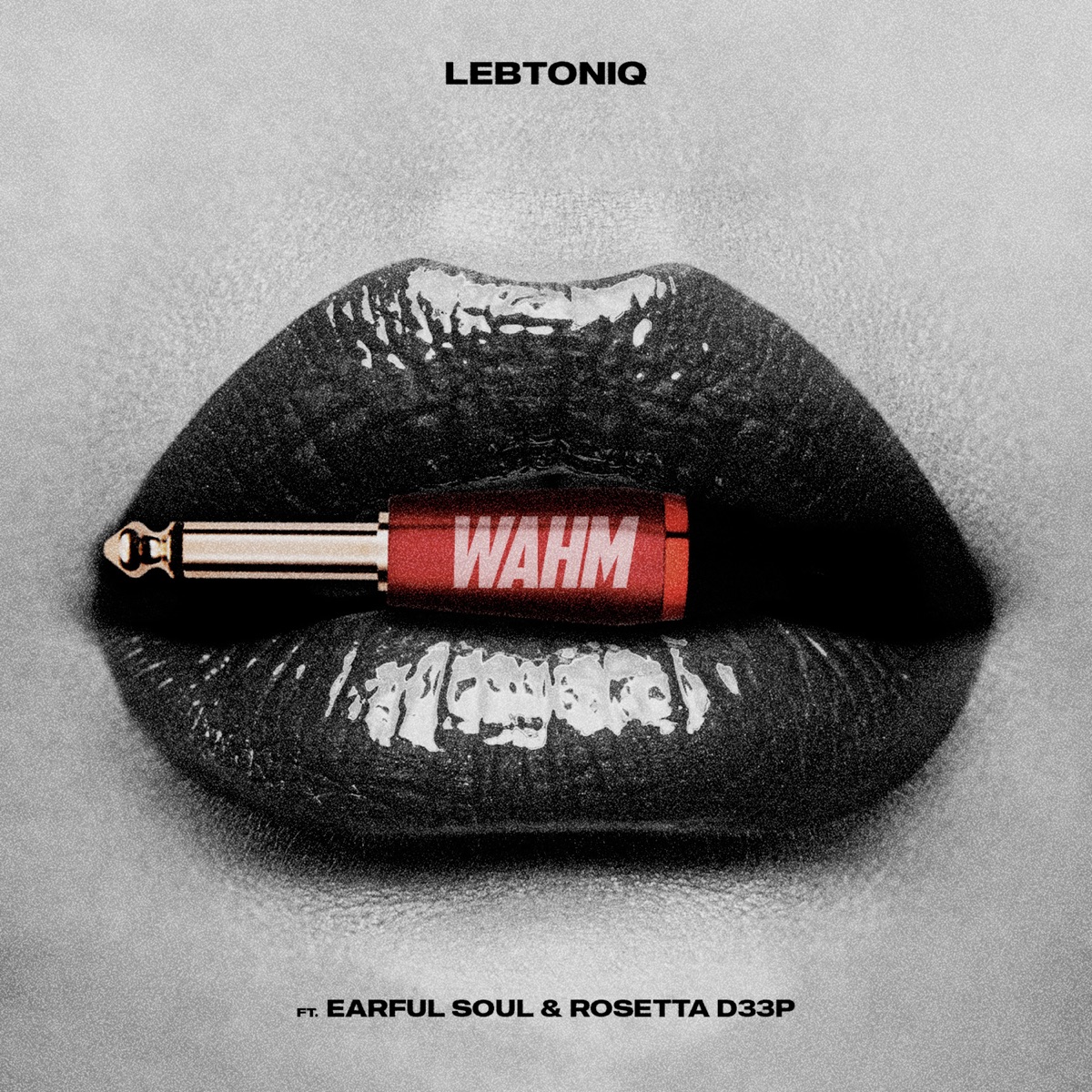 Wahm (feat. Earful Soul & Rosetta D33P) - Single by LebtoniQ album cover