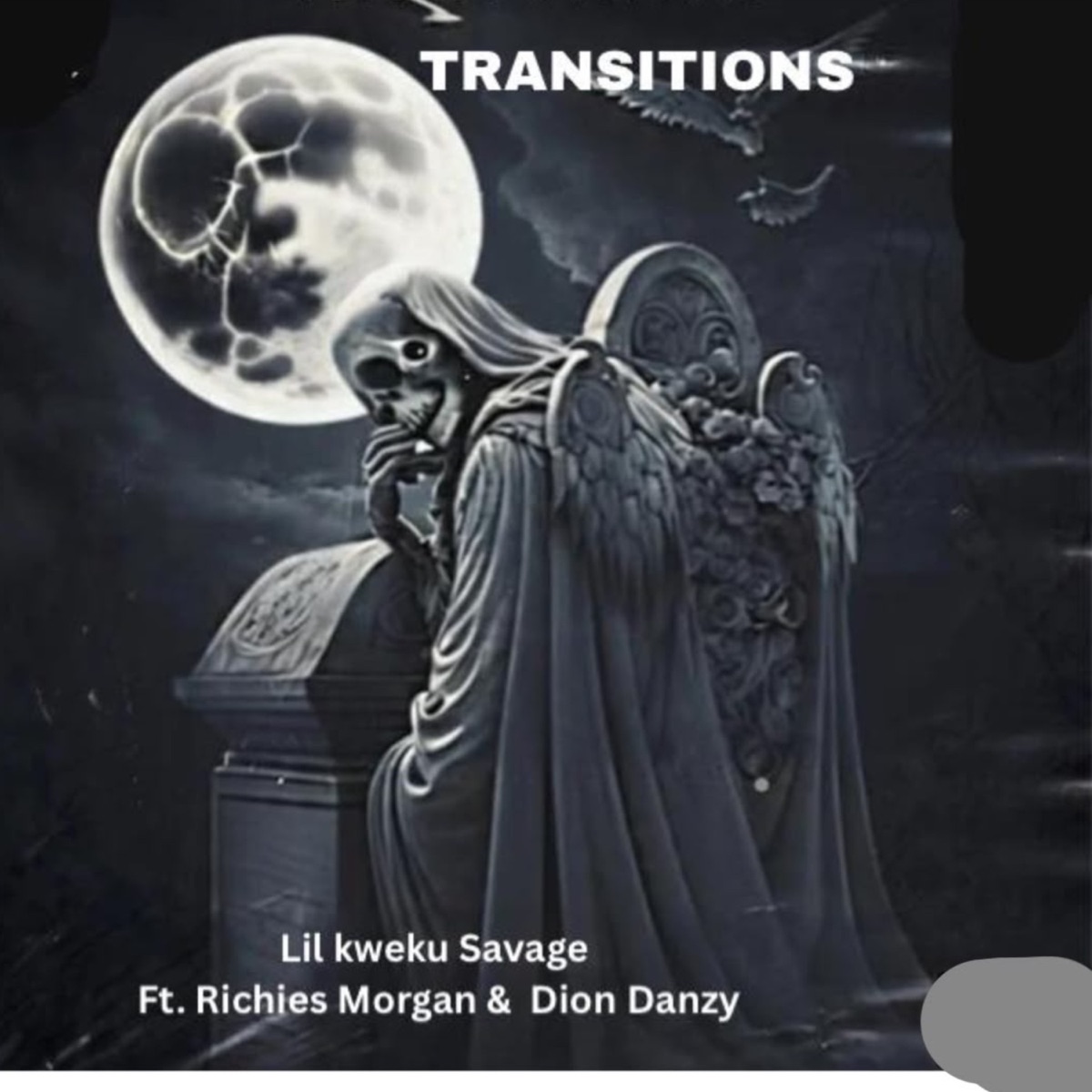 Transitions (feat. RICHIES MORGAN & Dion Danzy) - Single by Lil Kweku Savage album cover
