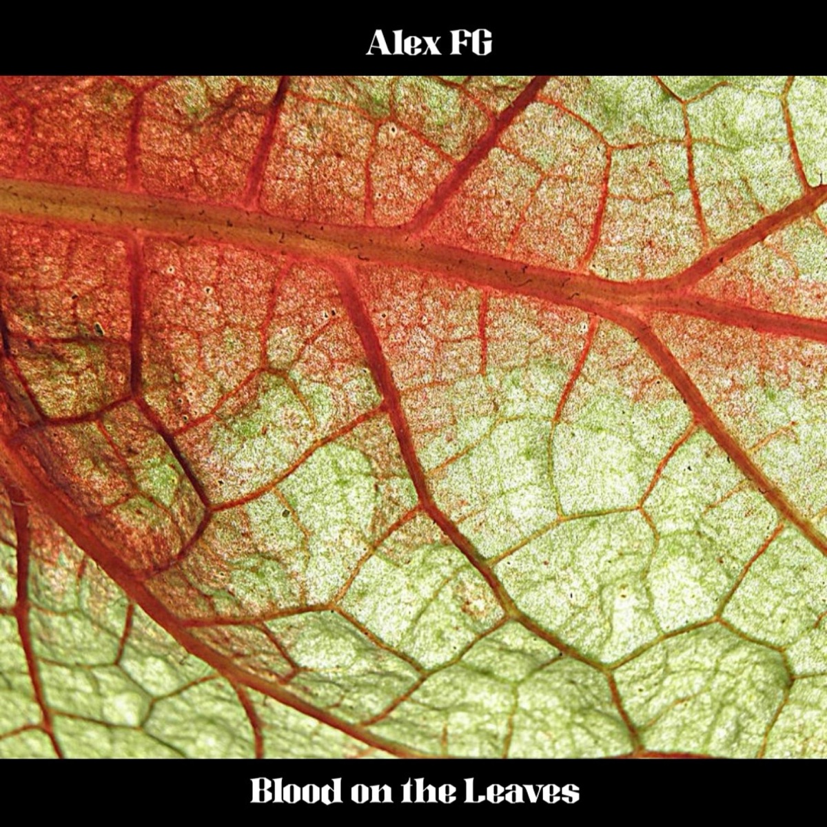 Blood On The Leaves - Single by Alex FG album cover