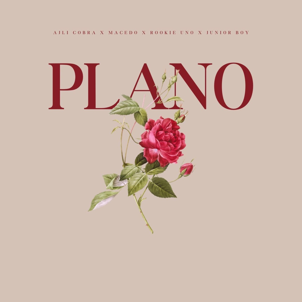 Plano (feat. Junior boy 4400, Rookie uno & Macedo) - Single by Ajli Cobra album cover