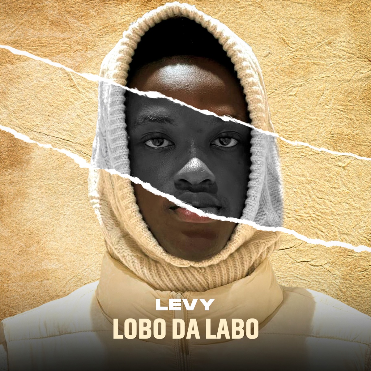 Lobo da Labo by J Levy album cover