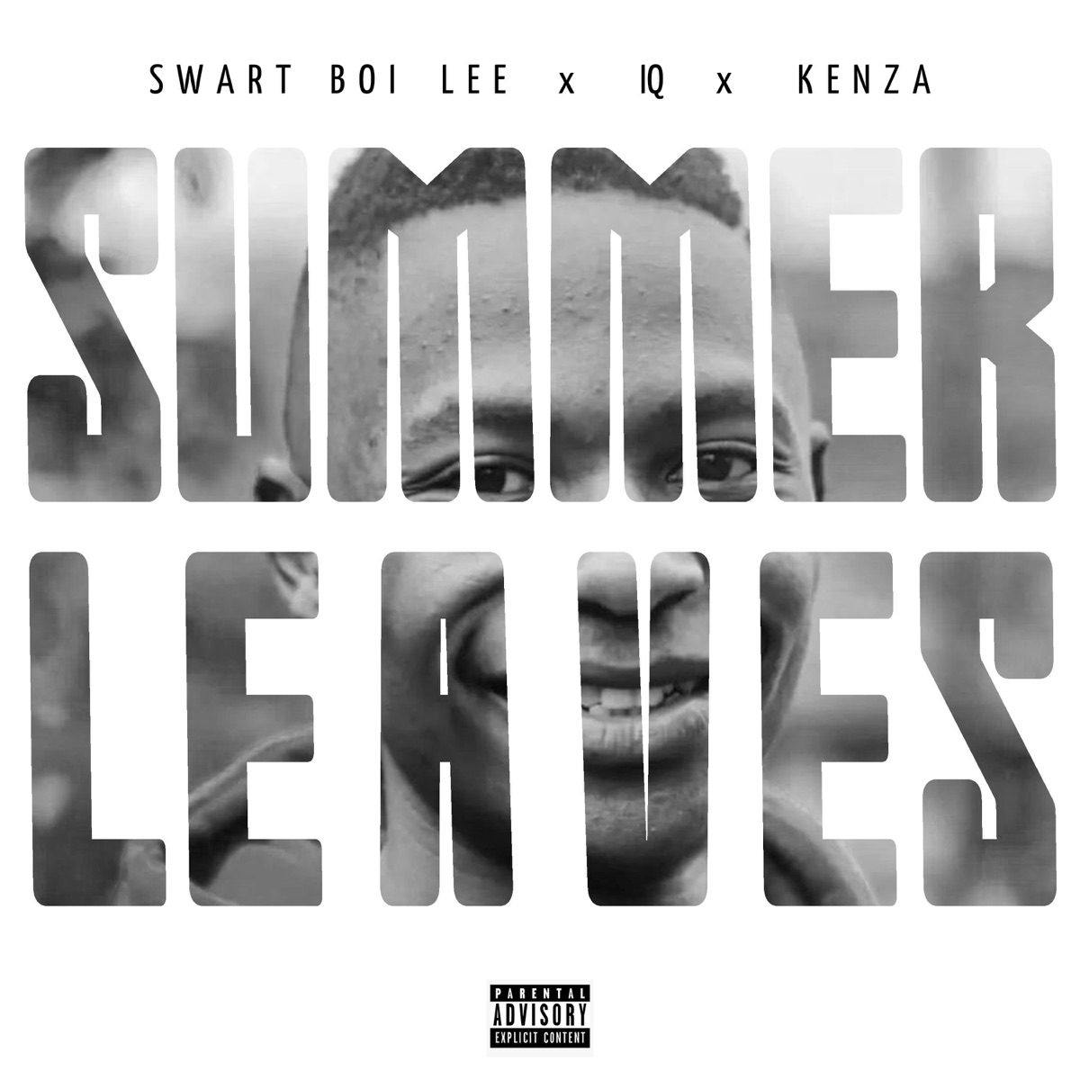 Summer Leaves (feat. iQ & Kenza) - Single by Swart Boi Lee album cover