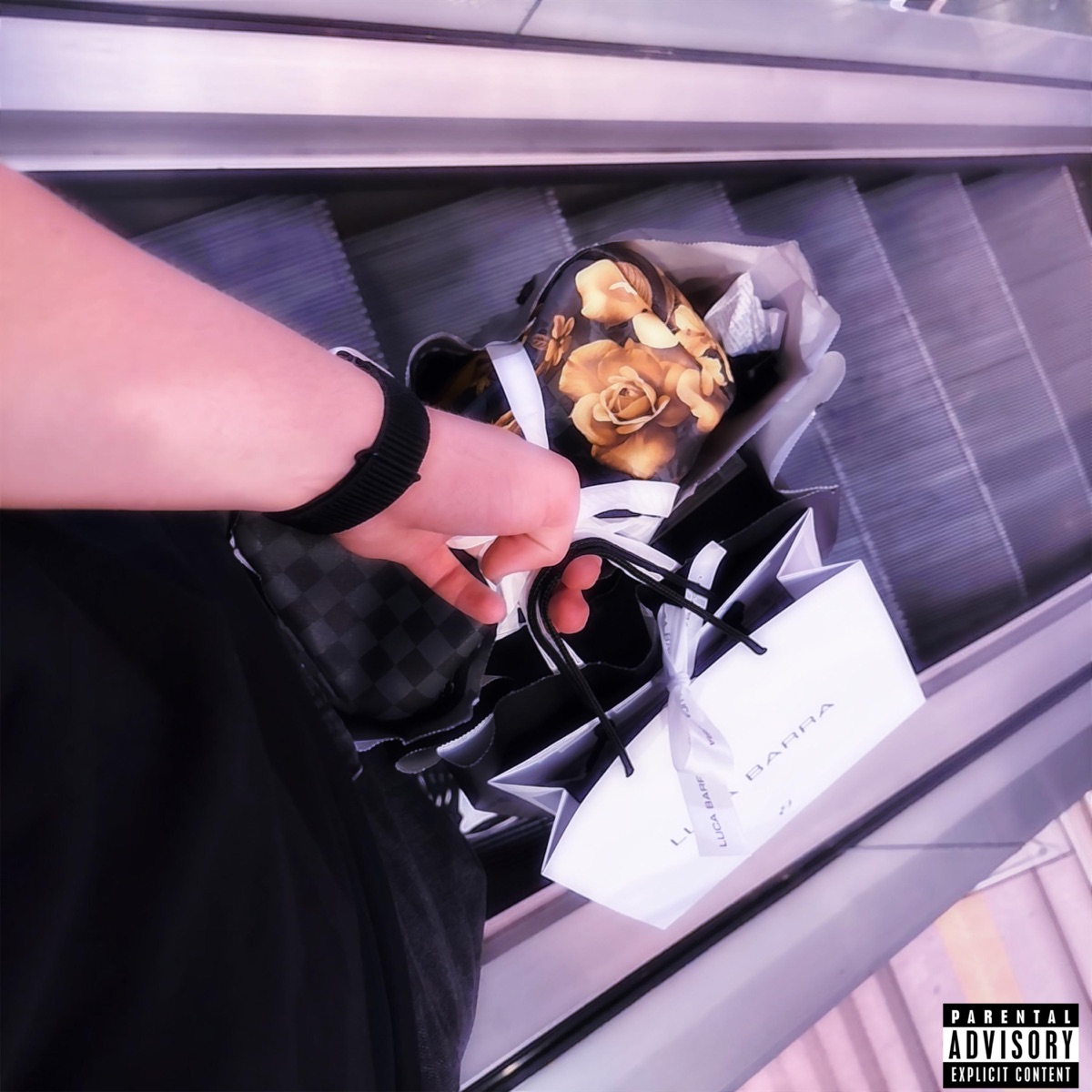 TROPPO SWAG (feat. BigD) - Single by Purc$ album cover