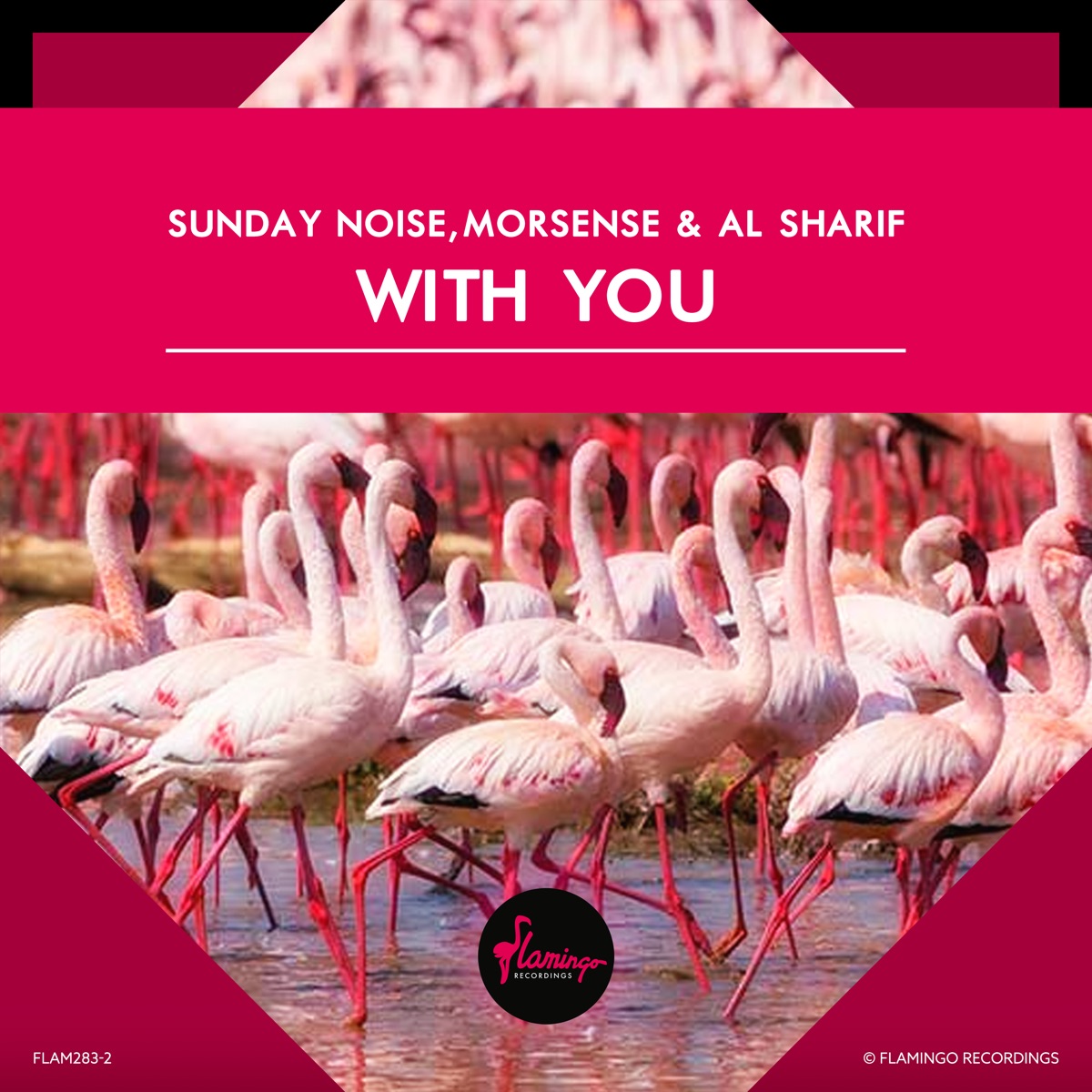 With You - Single by Sunday Noise, Moresense & Al Sharif album cover