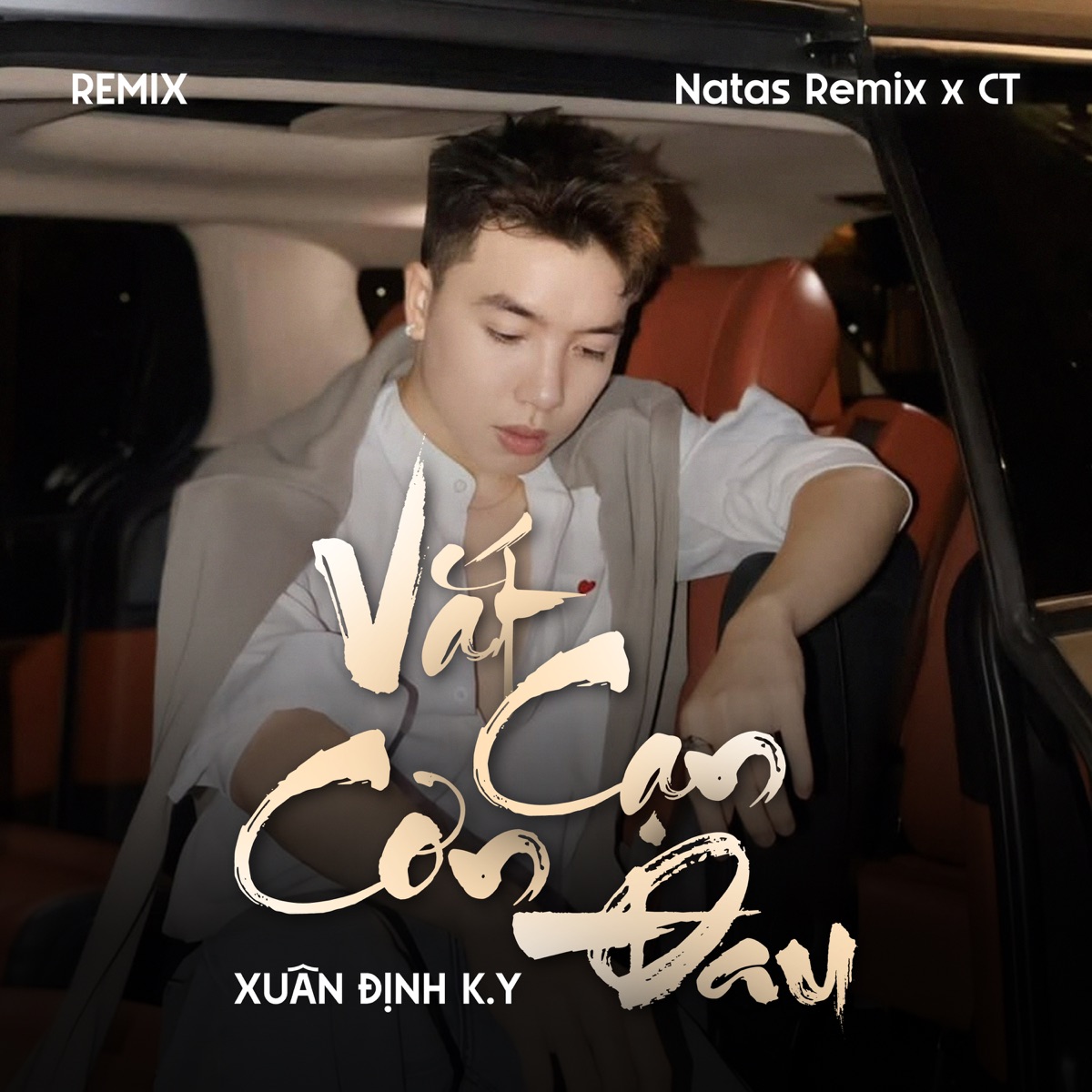 Vắt Cạn Cơn Đau (Remix) [feat. H2O Vinahouse & Natas Remix] - Single by Xuân Định K.Y album cover
