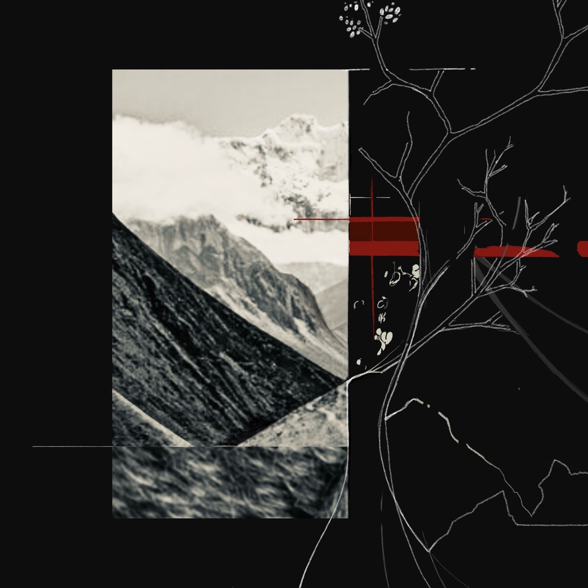 Echo - Single by Mosayk album cover