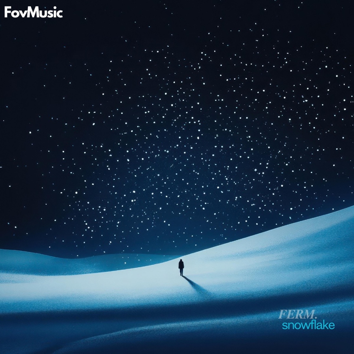 snowflake - Single by FERM. album cover