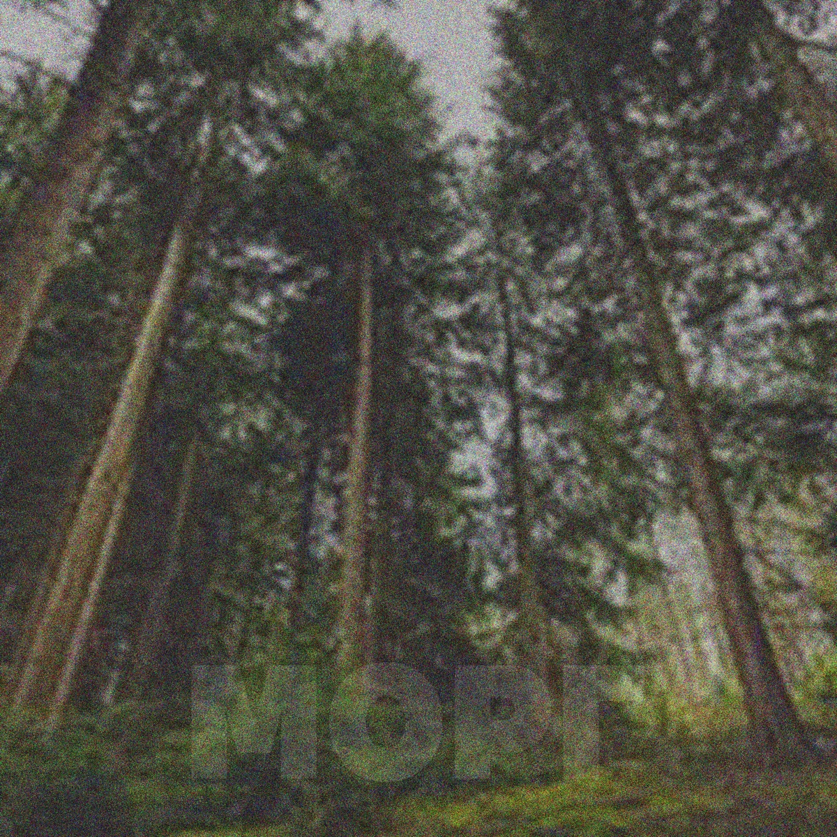 Морг - Single by GrobZone album cover