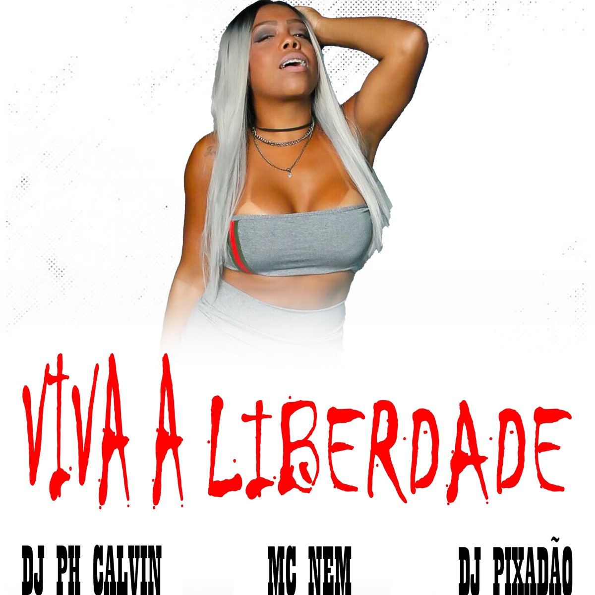 VIVA A LIBERDADE - Single by MC Nem, DJ PH CALVIN & Dj Pixadão album cover