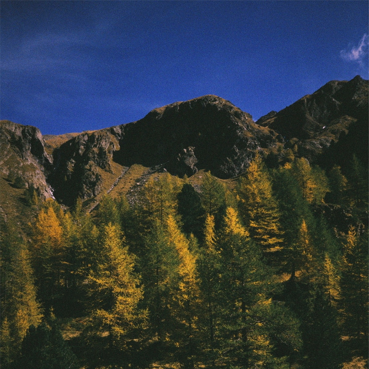 Echoes from the Mountain - Single by BiRdy SanJazz album cover