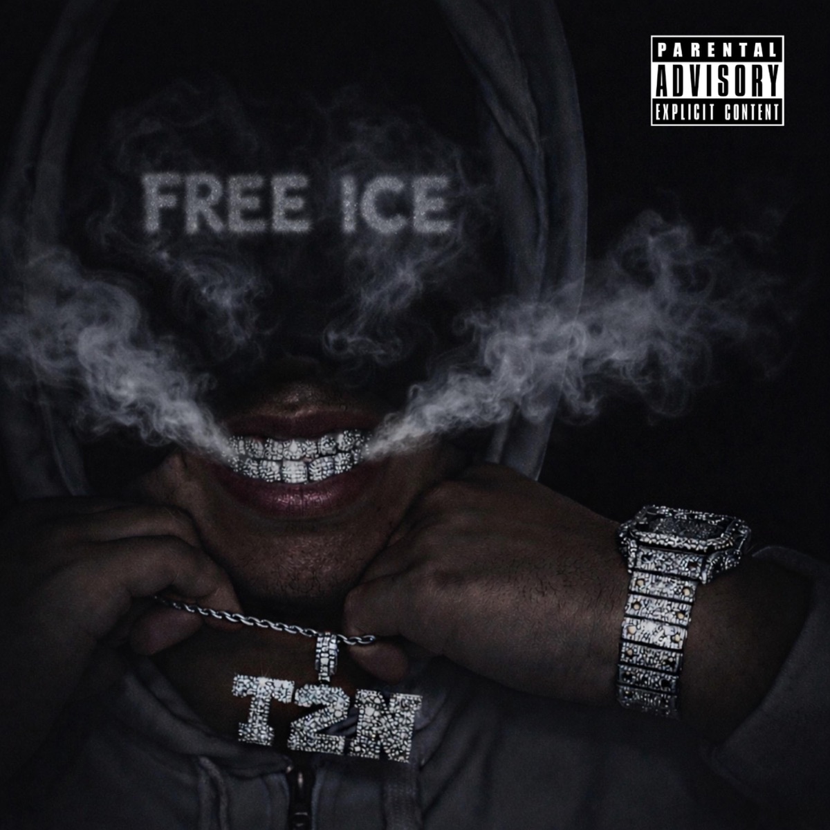 Free Ice - EP by T.2.N album cover