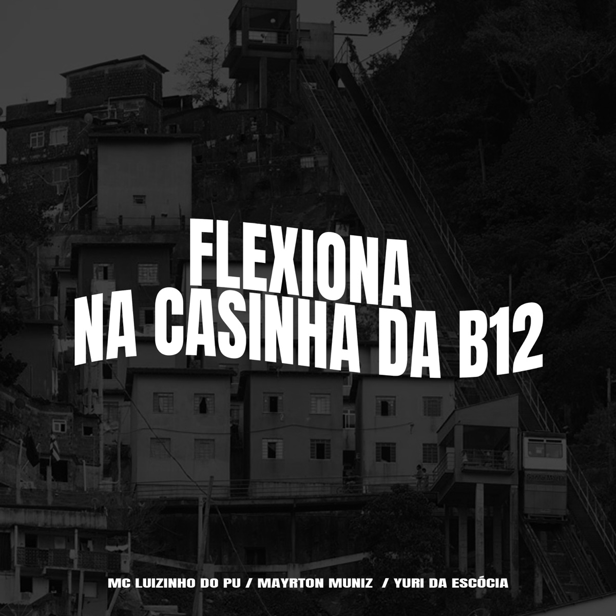 Flexiona na Casinha da B12 - Single by MC Luizinho do PU, Mayrton Muniz & Dj Yuri da Escócia album cover