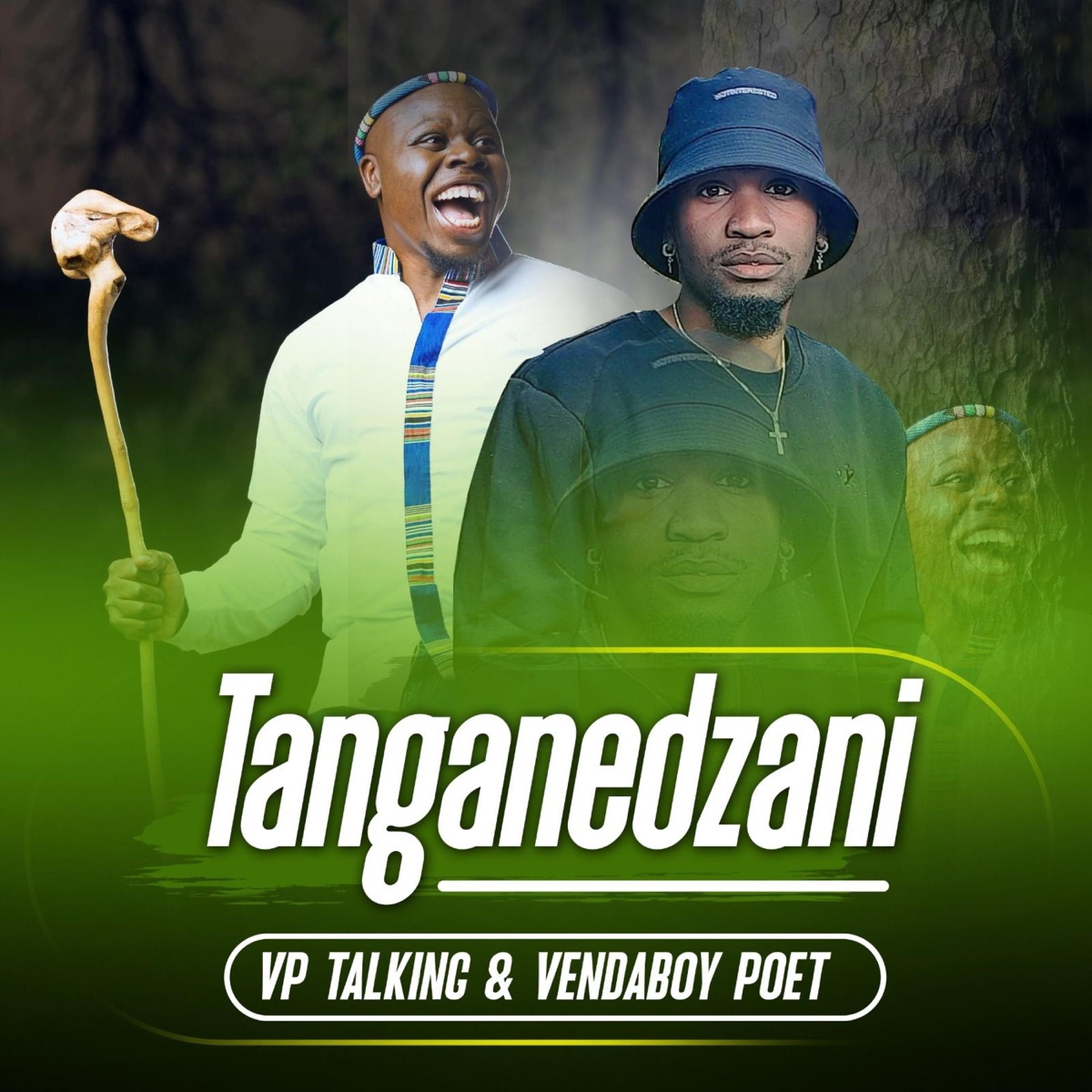 Tanganedzani (feat. VP Talking) - Single by Vendaboy Poet album cover