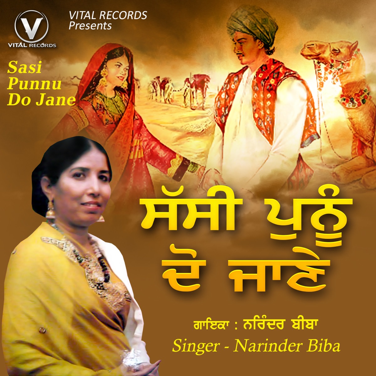 Sasi Punnu Do Jane by Narinder Biba album cover