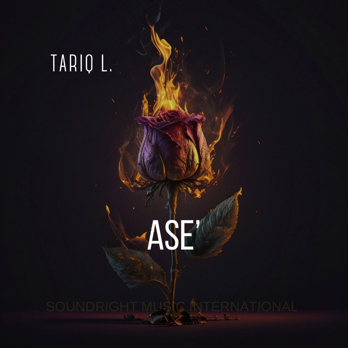 Ase - Single by Tariq L album cover