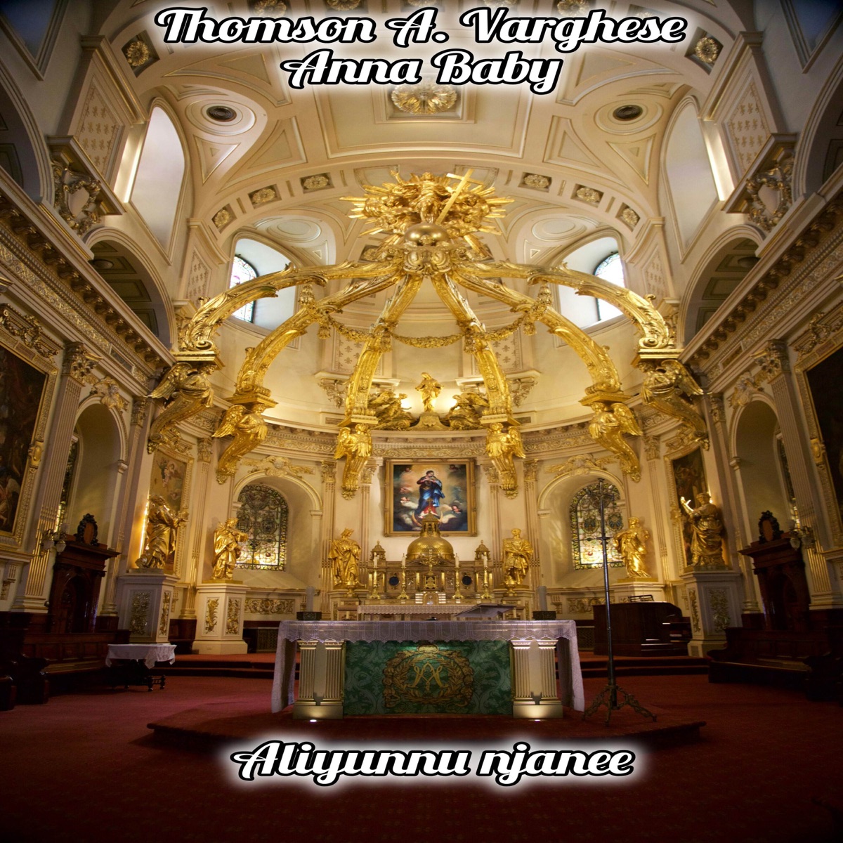 Aliyunnu njanee (Female) - Single by Anna Baby & Thomson A Varghese album cover