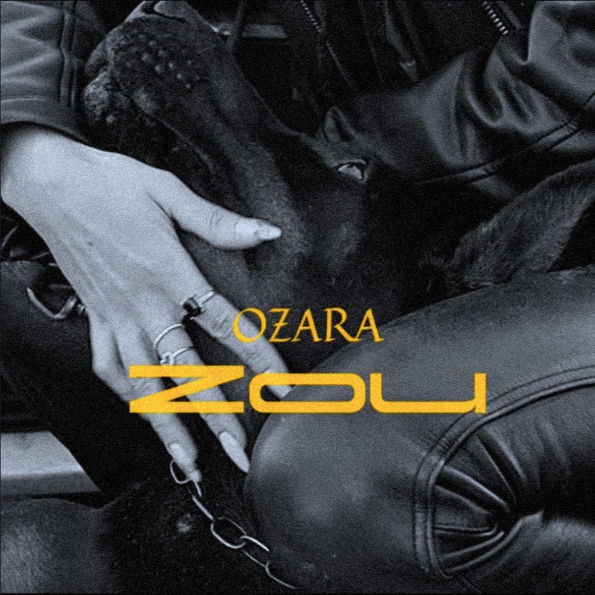 Zou - Single by OZARA & Kritchevsky album cover