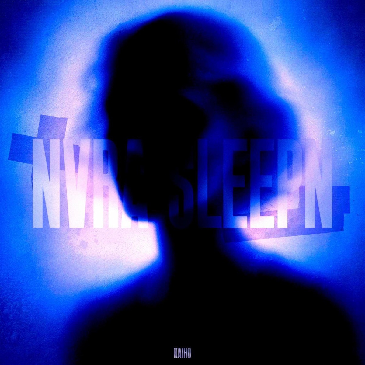 NVRA SLEEPN by ka1ho album cover