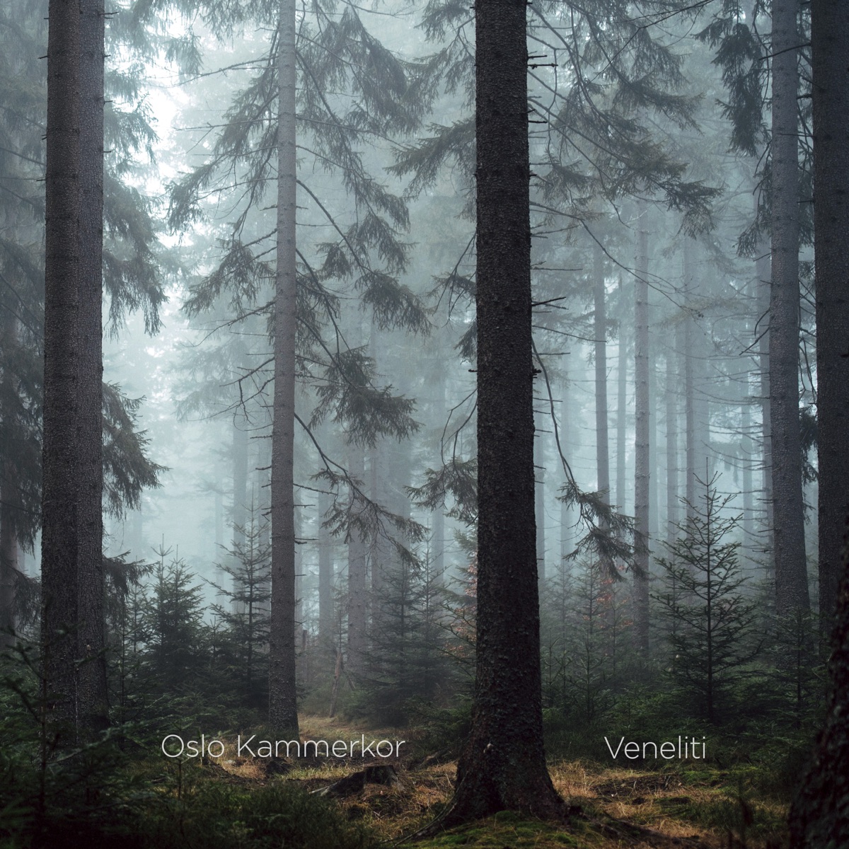 Veneliti by Oslo Kammerkor, Håkon Daniel Nystedt & Ørjan Matre album cover