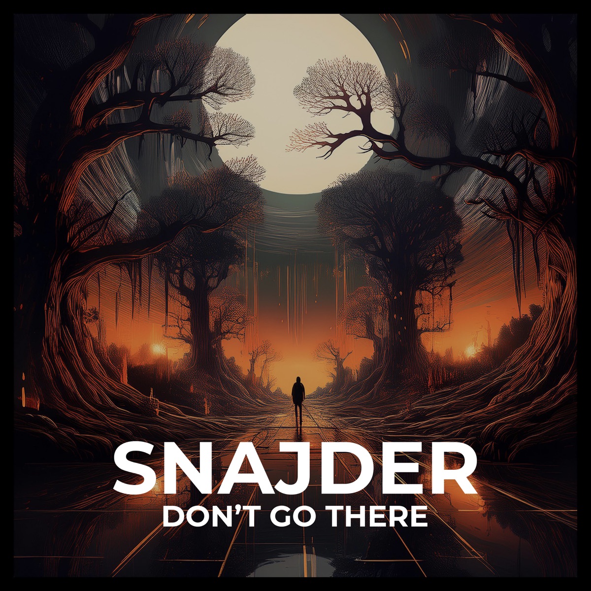 Don't Go There (Extended Mix) - Single by SNAJDER album cover