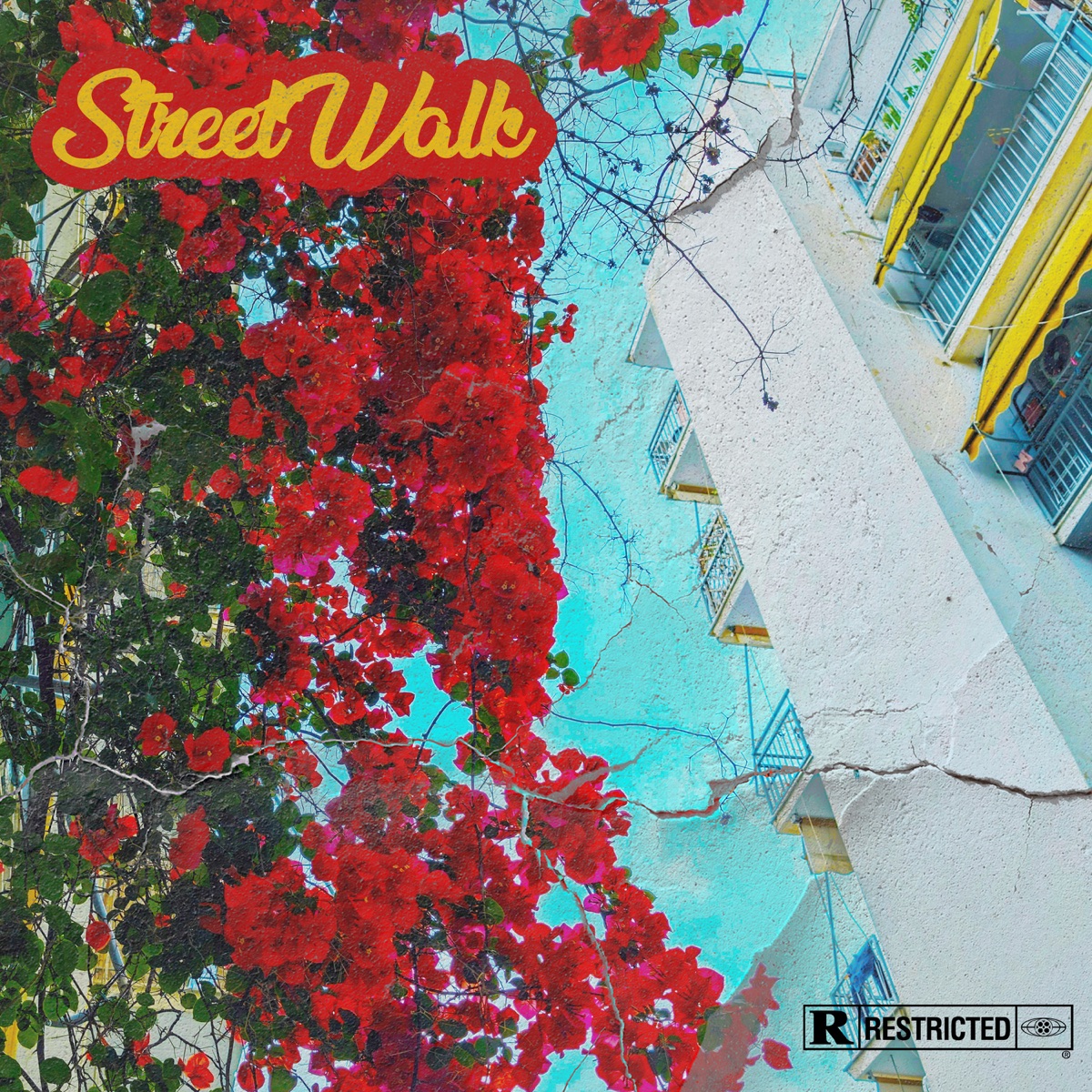 Street Walk - Single by Vikkie, DJ Xquze, The Plug & Ena Dyo album cover