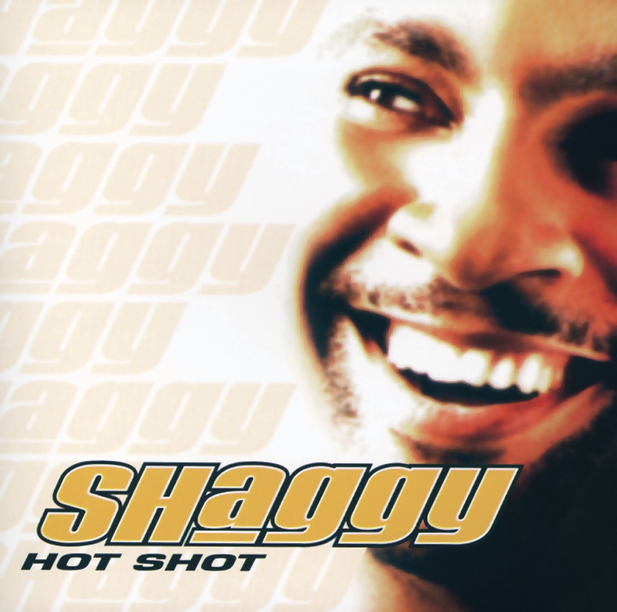 Hot Shot by Shaggy album cover