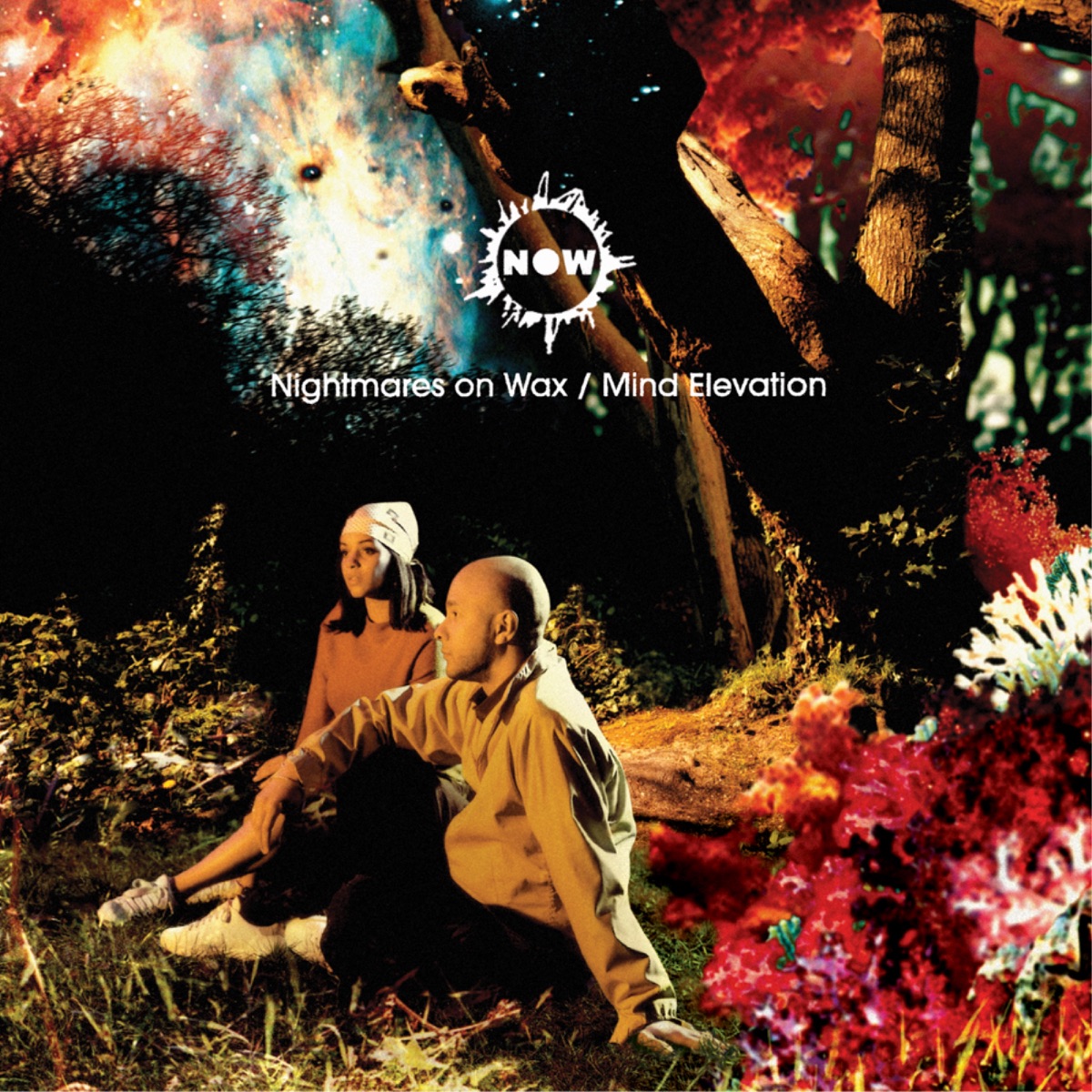 Mind Elevation by Nightmares On Wax album cover