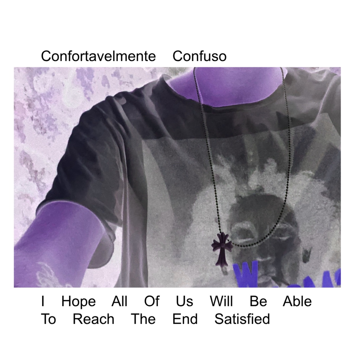I Hope All Of Us Will Be Able To Reach The End Satisfied - EP by confortavelmente confuso album cover