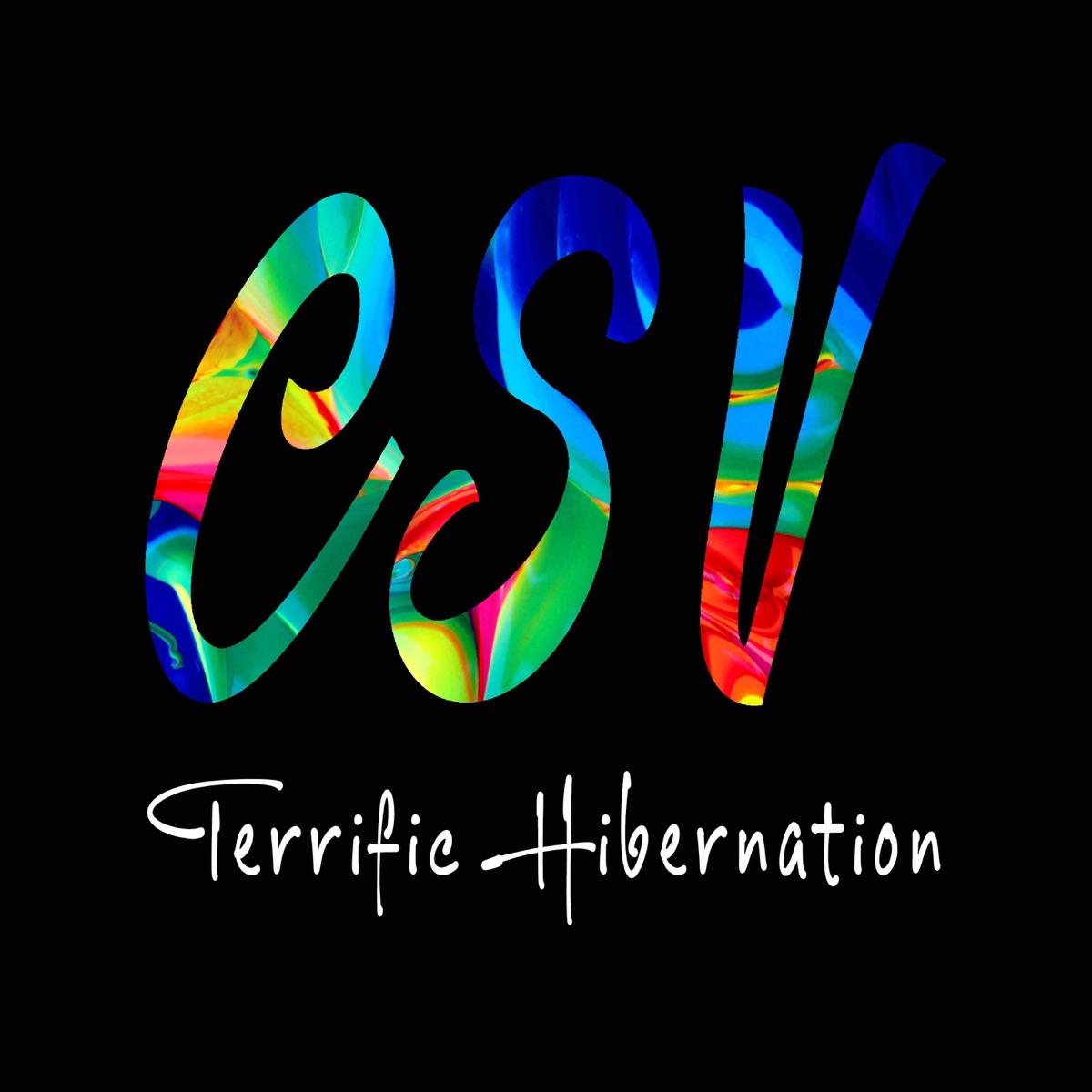 Terrific Hibernation - Single by Lynn Vartan album cover
