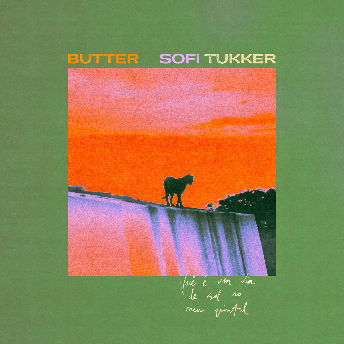 butter by SOFI TUKKER album cover