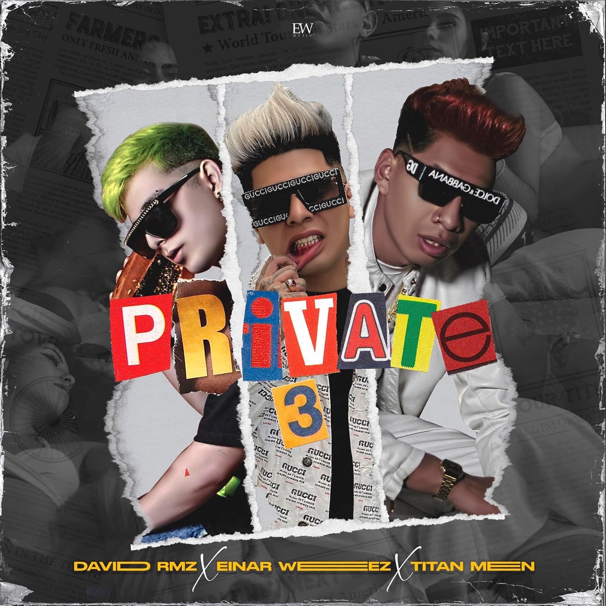 Private 3 - Single by Einar Weez, Titan Men & David Rmz album cover
