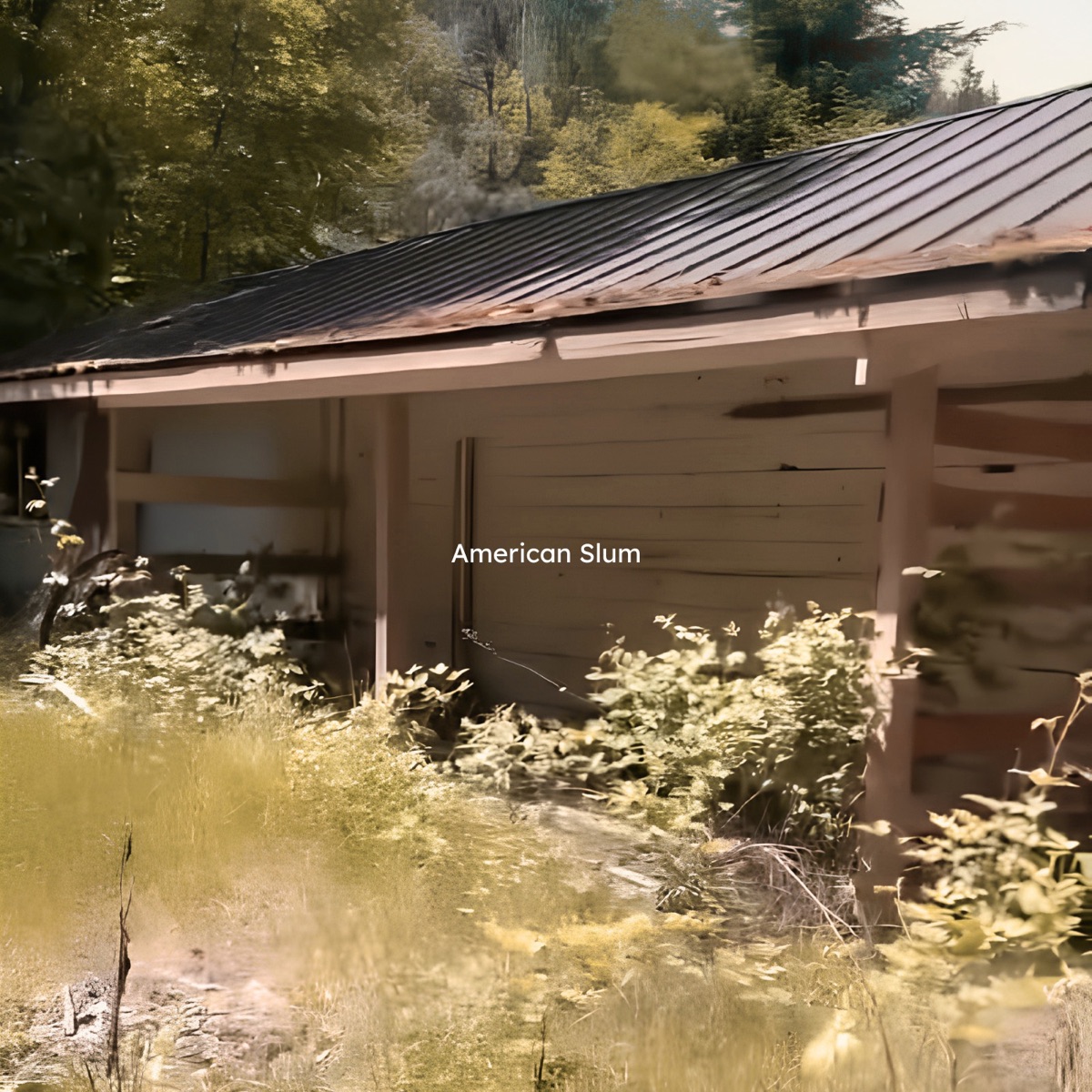 American Slum - Single by Ty album cover