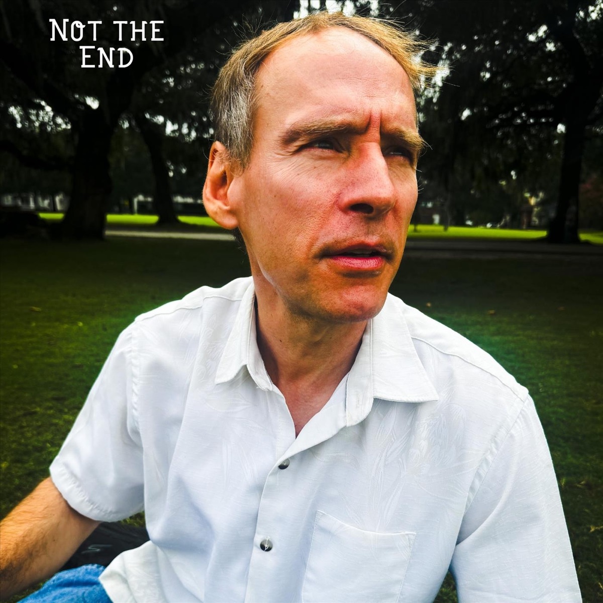 Not the End - Single by Robert Brewer album cover