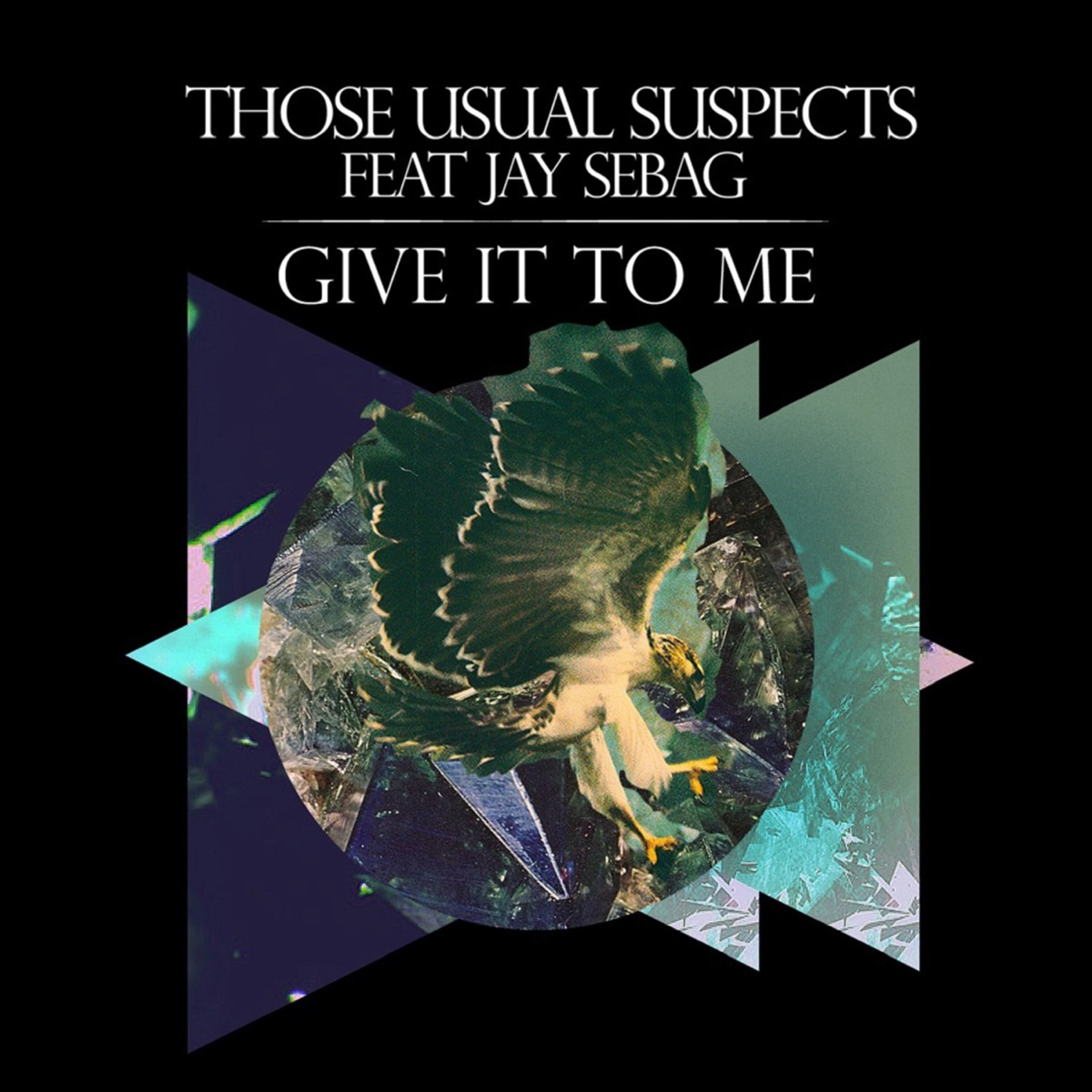 Give It to Me (feat. Jay Sebag) by Those Usual Suspects album cover