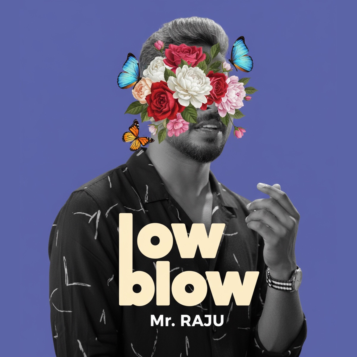 Low Blow - Single by Mr.Raju album cover