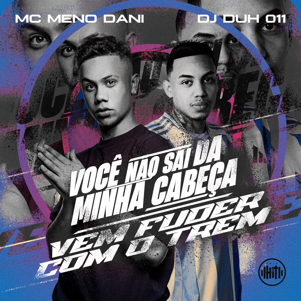 Você Não Sai da Minha Cabeça - Vem Fuder Com o Trêm - Single by DJ DUH 011 & MC Meno Dani album cover