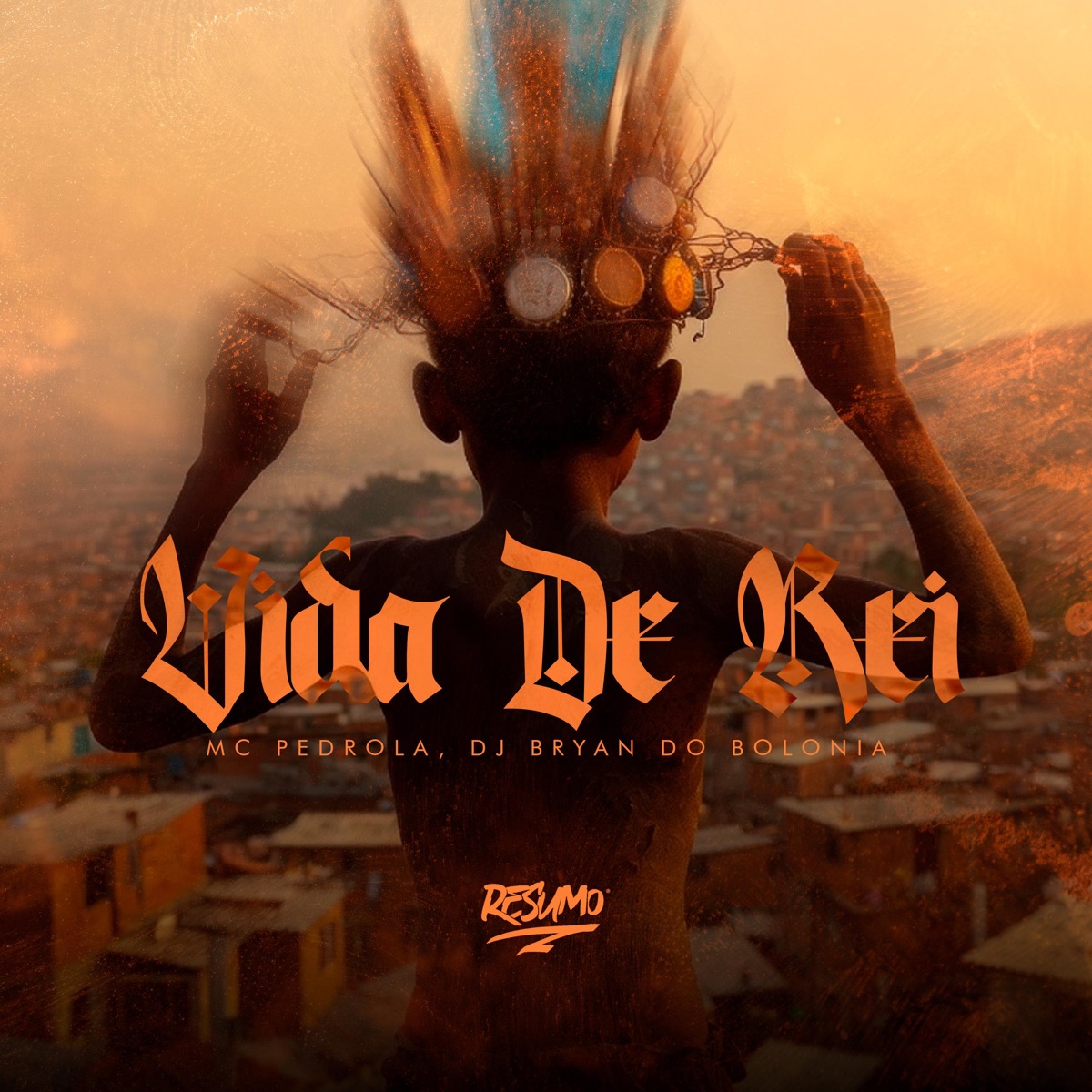 Vida De Rei - Single by Mc Pedrola & DJ Bryan album cover