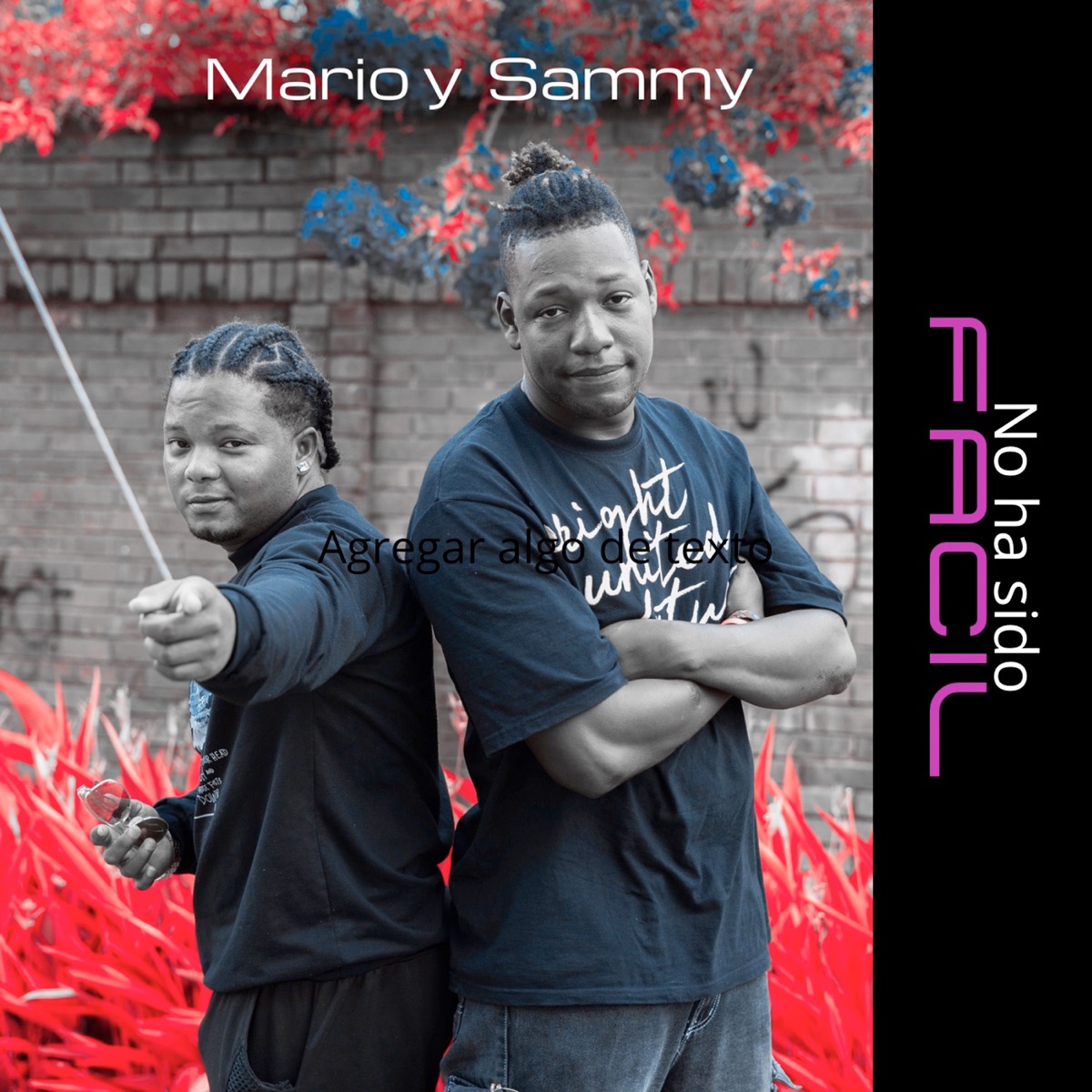 No ha sido fácil - Single by Mario y Sammy album cover