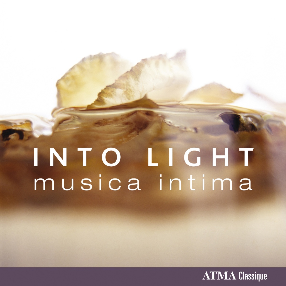 Into Light by Ariel Barnes, Owen Underhill & musica intima album cover