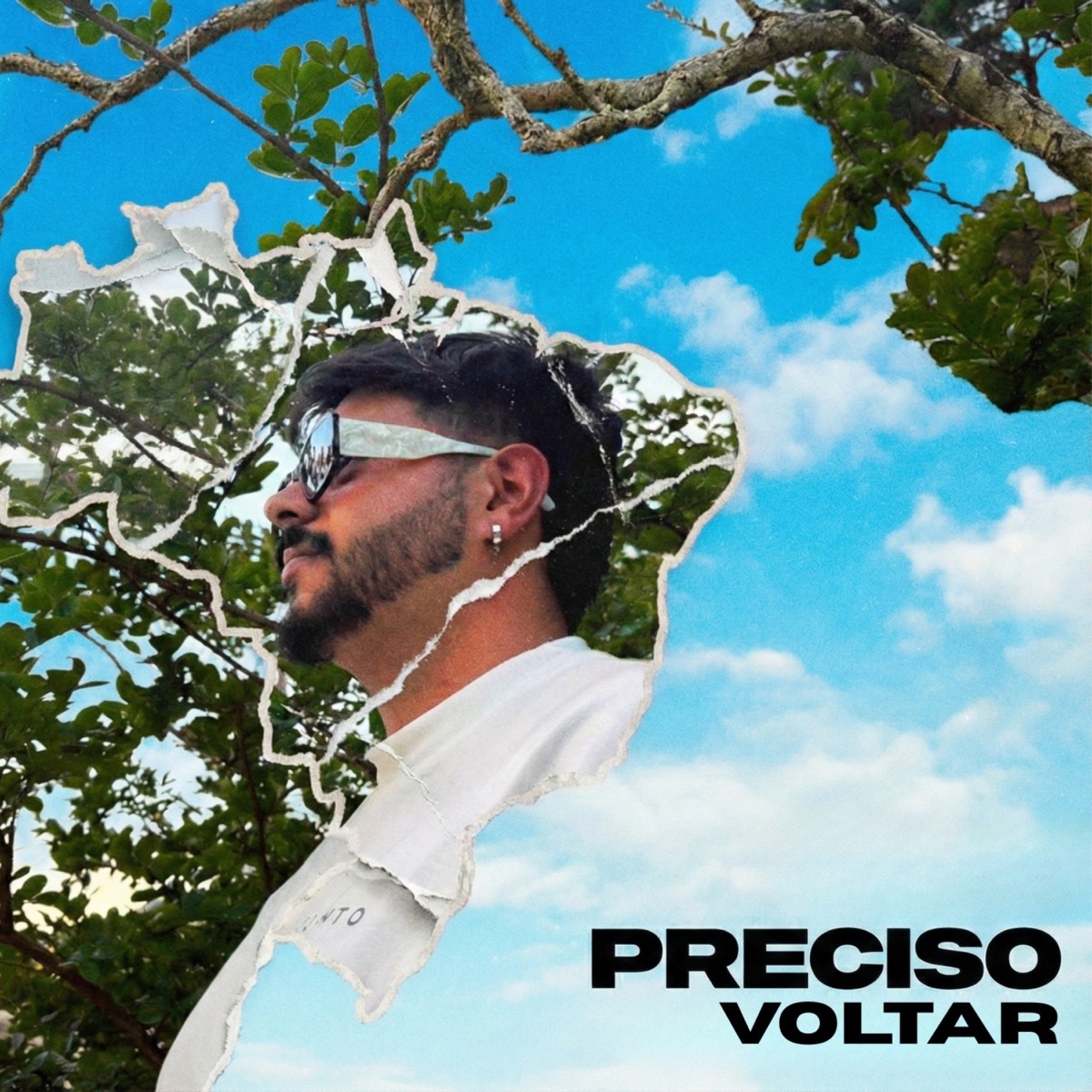 Preciso Voltar - Single by Diego Paim album cover