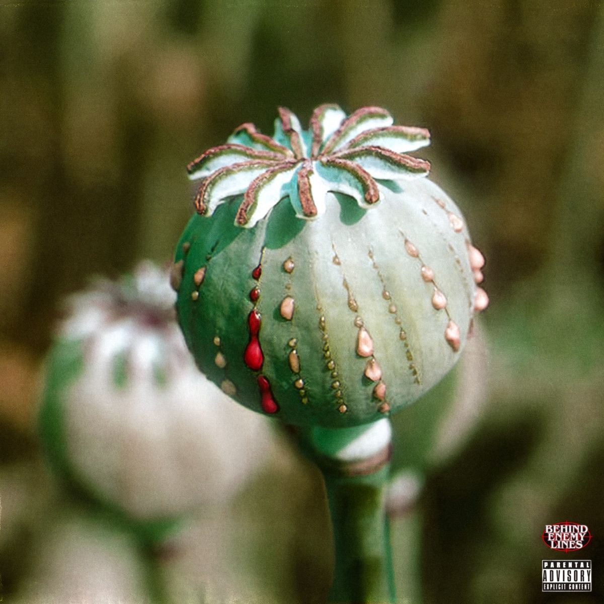 OPIUM - Single by Rockywhereyoubeen & Bartofso album cover