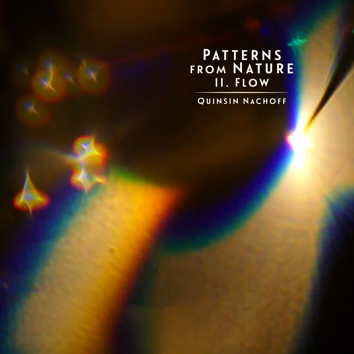 Patterns from Nature II. Flow (feat. Quatuor Molinari & Satoshi Takeishi) - EP by Quinsin Nachoff album cover